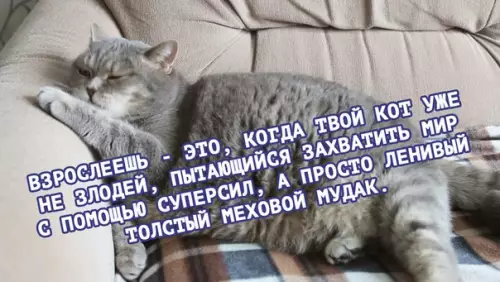 Смешная картинка №258390
