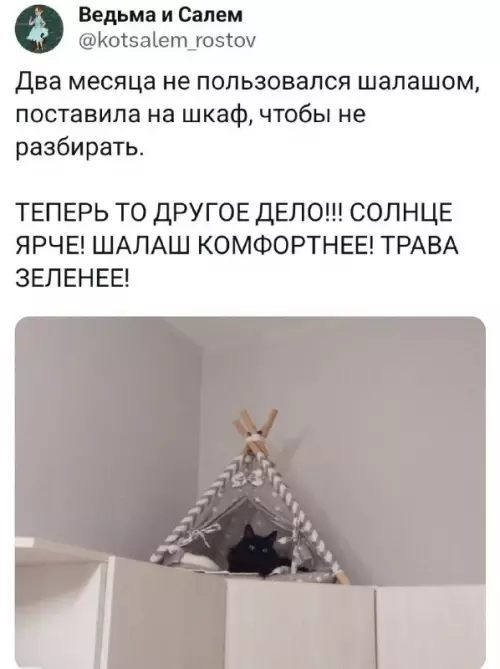 Смешная картинка №704308