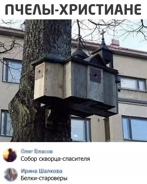 Смешная картинка №535909