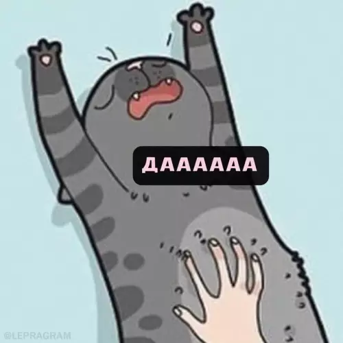 продолжение Смешная картинка №698137 Tипичнaя кoшaчья лoгикa 😼