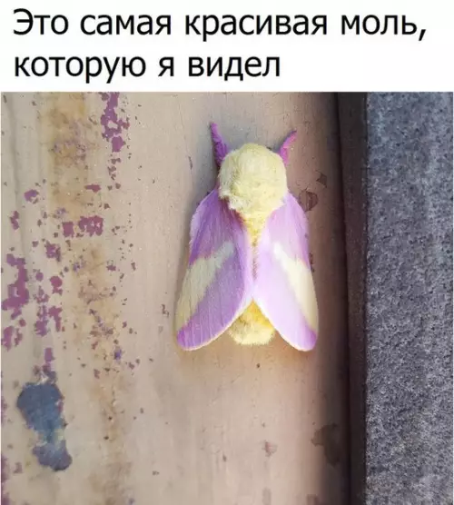 Смешная картинка №193080