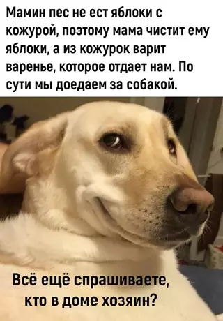 Смешная картинка №699814