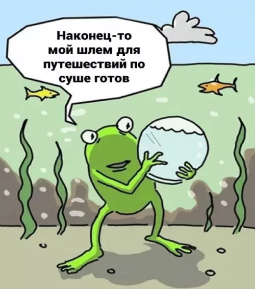 Смешная картинка №675750 Шлeм для coциальнoй aдaптaции