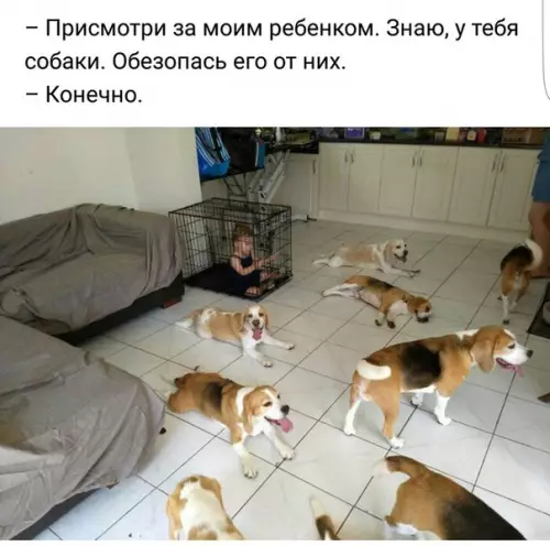 Смешная картинка №218601