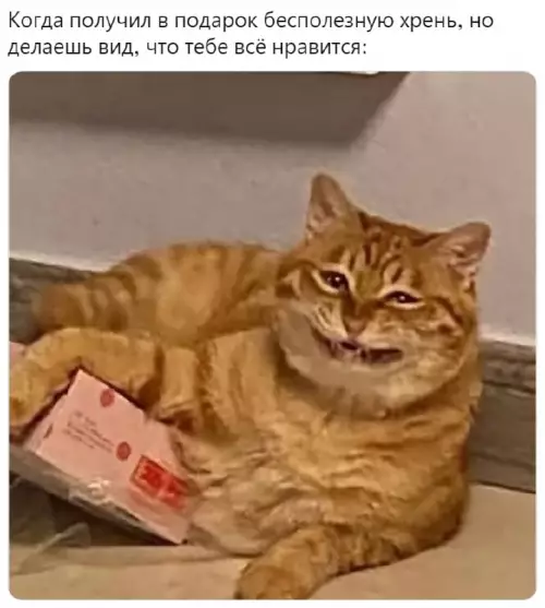 Смешная картинка №667834