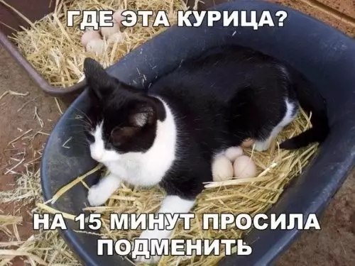Смешная картинка №361655 #приколы #картинки #мемы ?