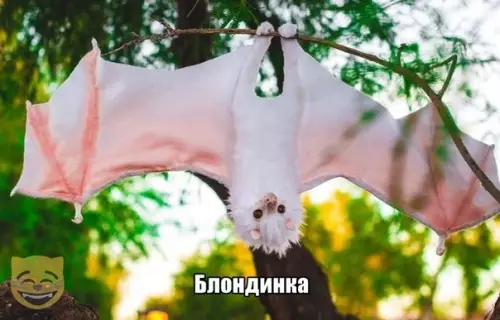 Смешная картинка №390293 #приколы #картинки #мемы ?