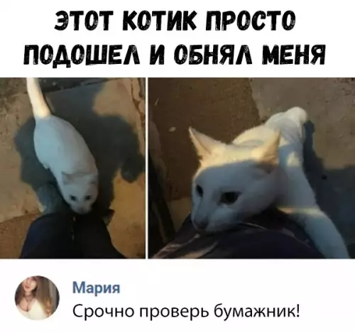 Смешная картинка №323073