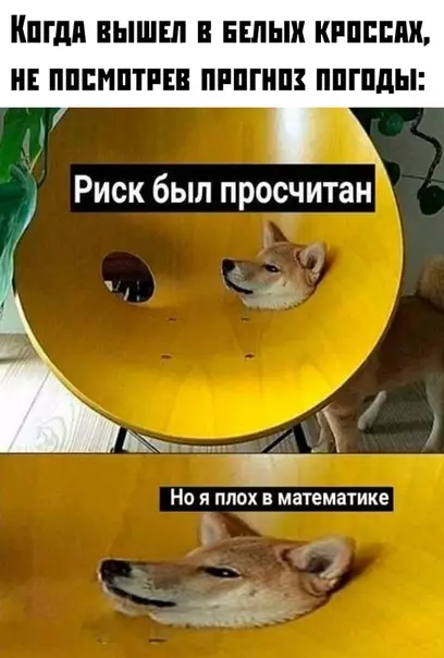 Смешная картинка №371769