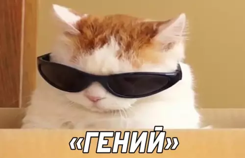 продолжение Смешная картинка №590384