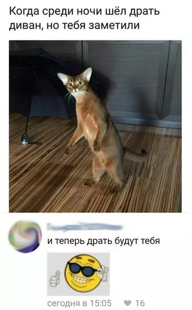 Смешная картинка №255156