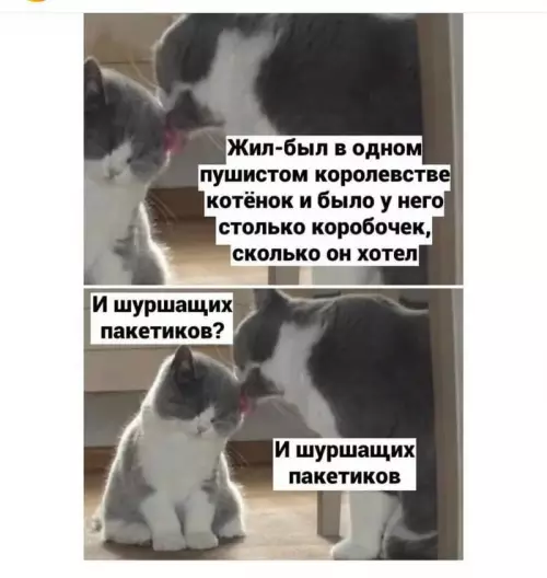 Смешная картинка №700180 Котв