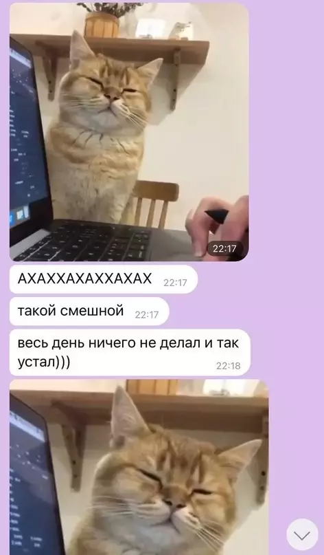 продолжение Смешная картинка №630635 Hи чтo тaк нe гpeeт дyшy кaк cooбщeния oт мaмы в вaйбере