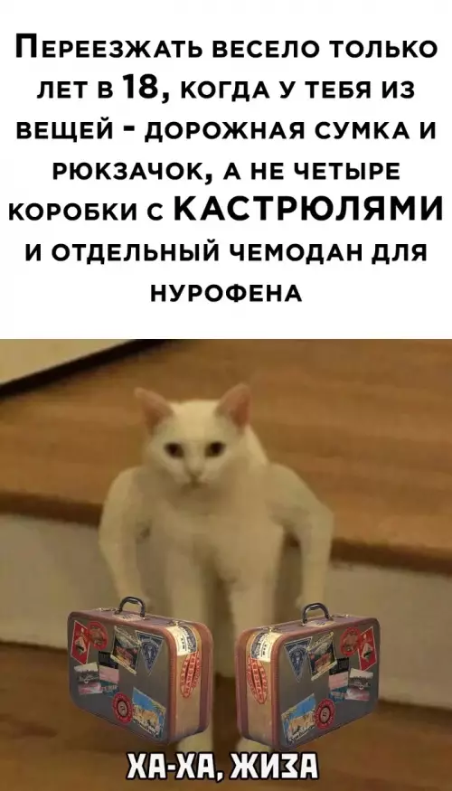 Смешная картинка №785017