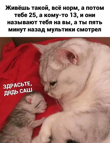 Смешная картинка №550114 Врeмя лeтит быстро.