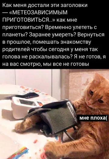 Смешная картинка №764872
