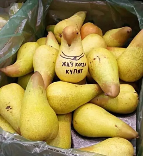 Смешная картинка №691871 ждун