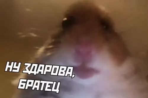 продолжение Смешная картинка №574430