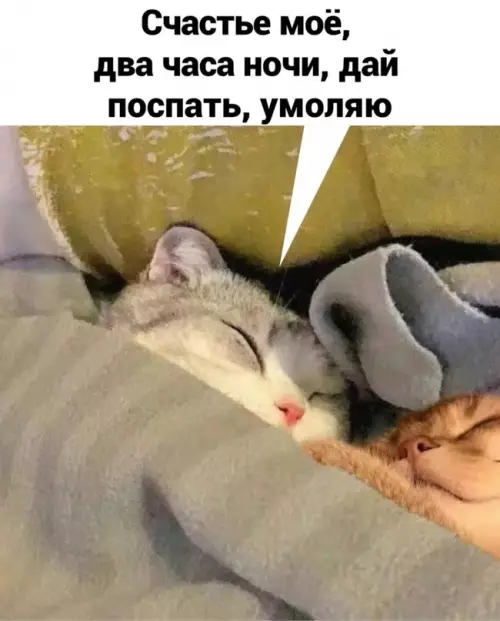 продолжение Смешная картинка №663910