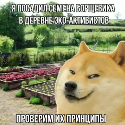 Смешная картинка №733796