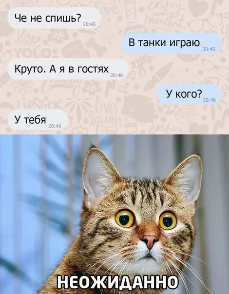 Смешная картинка №505749