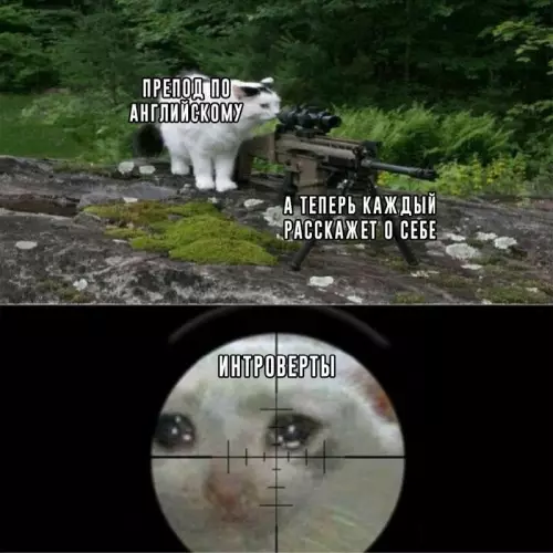 Смешная картинка №714045