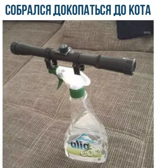Смешная картинка №215319