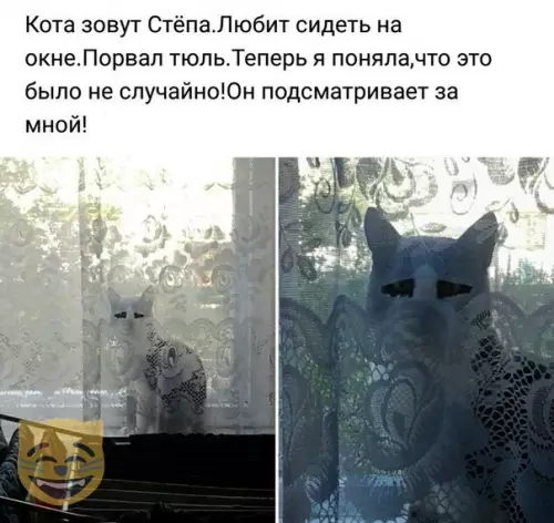 Смешная картинка №335364 #приколы #картинки #мемы ?