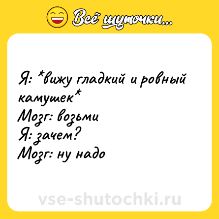 Шутка: Я: *вижу гладкий и ровный камушек*<br>Мозг: возьми<br>Я: зачем?<br>Мозг: ну надо