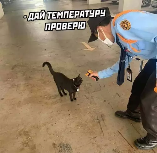 Смешная картинка №614223