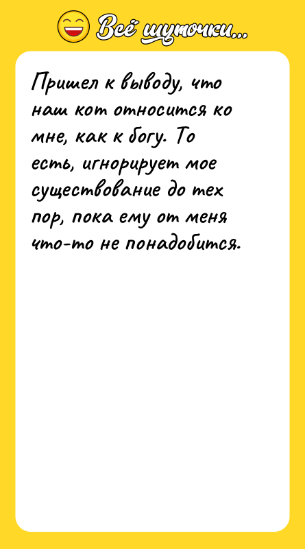Пришел к выводу, что наш кот относится ко мне, как