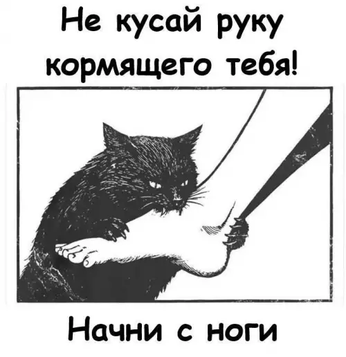 Кот-терминатор на охоте 😼 - Не кусай руку кормящего тебя! Начни с ноги