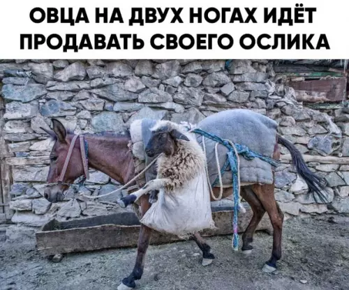 Смешная картинка №455423 чёрт, я не сразу понял)))