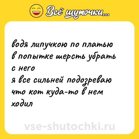 Шутка: водя липучкою по платью<br>в попытке шерсть убрать с него<br>я все сильней подозреваю<br>что кот куда-то в нем ходил