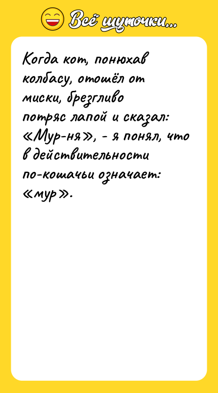 Когда кот, понюхав колбасу, отошёл от миски, брезгливо потряс лапой