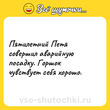 Шутка: Пятилетний Петя совершил аварийную посадку. Горшок чувствует себя хорошо.