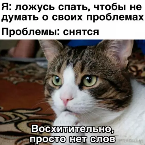Смешная картинка №687310