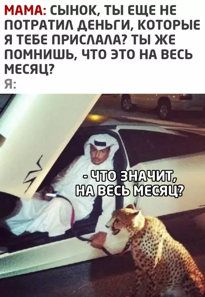Смешная картинка №553877