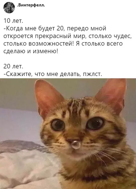Смешная картинка №344197