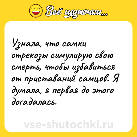Шутка: Узнала, что самки стрекозы симулирую свою смерть, чтобы избавиться от приставаний самцов. Я думала, я первая до этого догадалась.