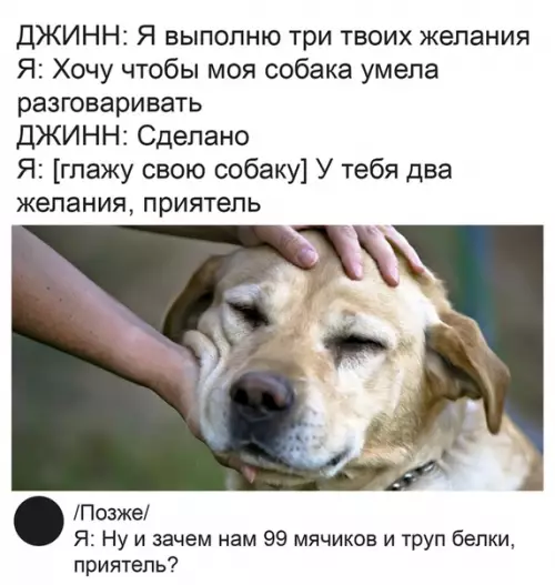 Смешная картинка №490292 Какой альтруизм!