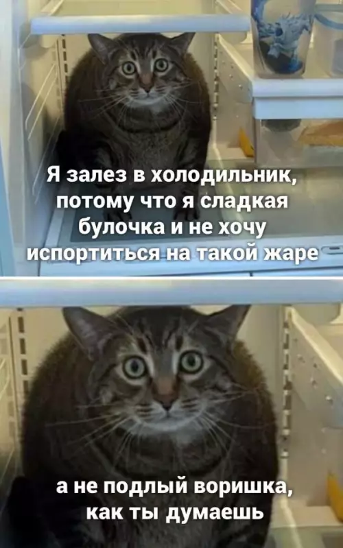 Смешная картинка №652751