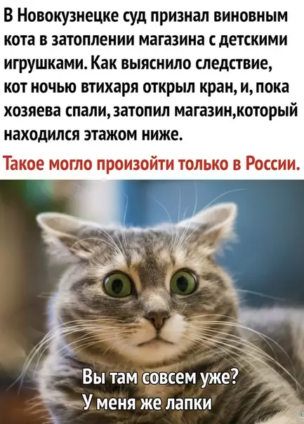 Смешная картинка №316236