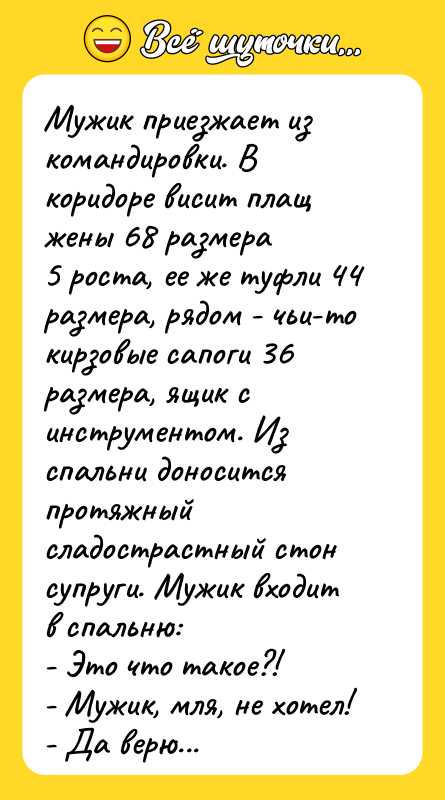 Мужик приезжает из командировки. В коридоре висит плащ жены 68