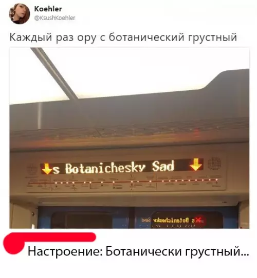 Смешная картинка №297547