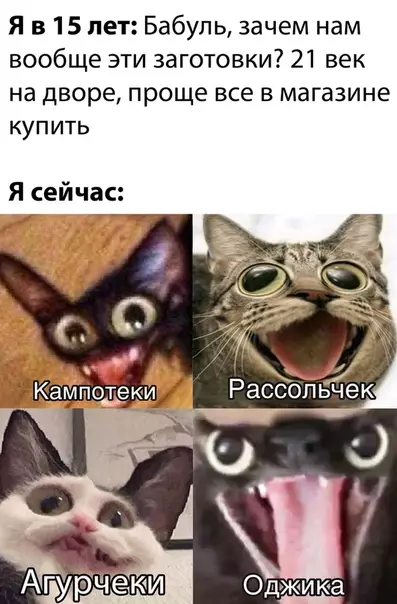 Смешная картинка №533424