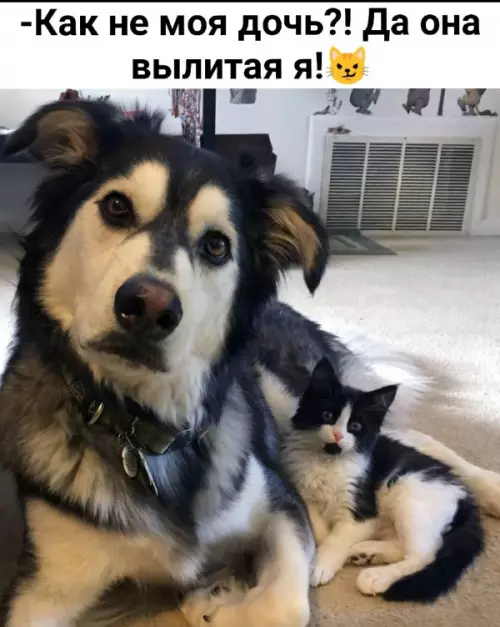 Когда гены сработали на все 100% 😂 - -Как не моя дочь?! Да она вылитая я!