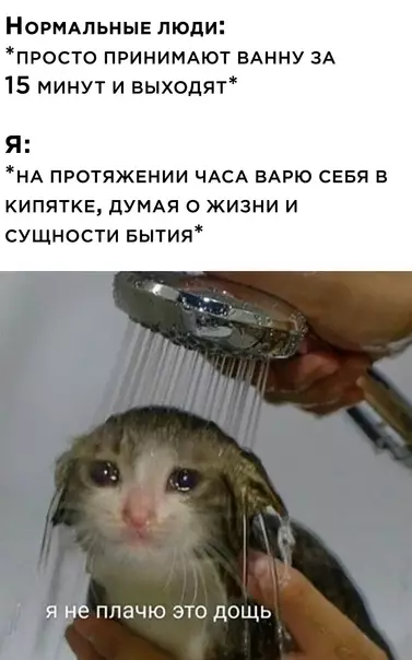 Смешная картинка №565348