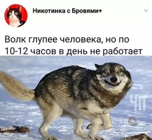 Смешная картинка №523019 А ведь и не поспоришь!