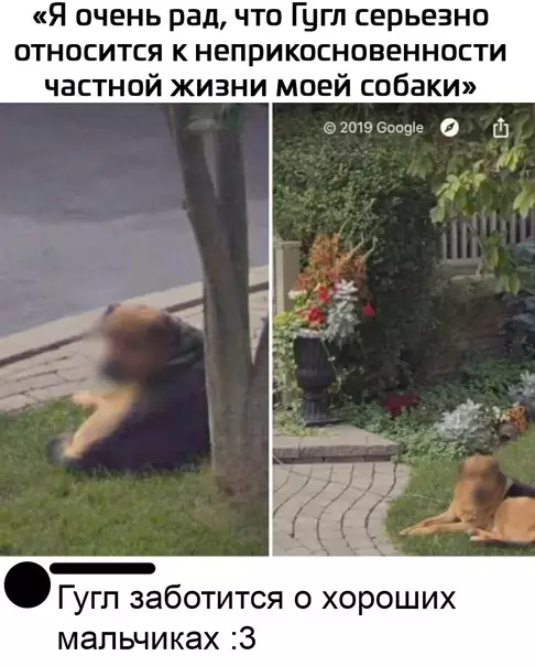 Смешная картинка №602351 Xopoшaя paбoтa
